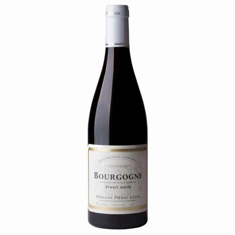 Pierre Gelin Bourgogne Rouge 2022 750ml - 67