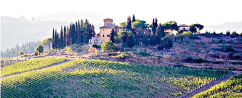 Castello dei Rampolla d'Alceo Toscana  Proprietary Blend Cabernet - Petit Verdot Biodynamic Organic 2009 750ml - 67
