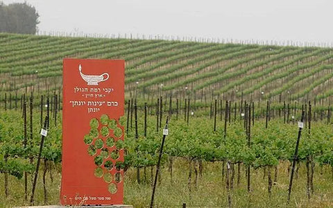 Yarden Cabernet Sauvignon Bar'On Vineyard Kosher 2021 750ml - 67