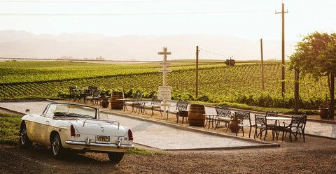 True Myth Cabernet Sauvignon Paso Robles 2022 750ml - 67