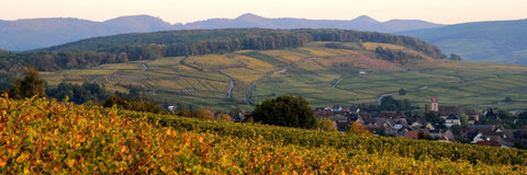 Lucien Albrecht Cremant d'Alsace Brut Blanc 750ml - 67