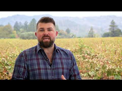 Belle Glos Pinot Noir BALADE Single Survey Arroyo Seco Monterey County 2022 750ml - 67