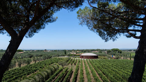 Campo Alle Comete Stupore Bolgheri Rosso 2019 750ml - 67