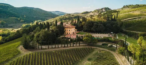 Famiglia Castellani Chianti Classico Riserva 2019 750ml - 67