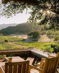 Joseph Phelps Insignia Napa 2018 750ml - 67
