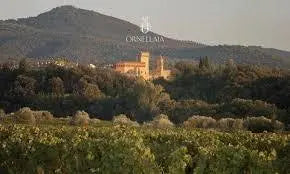 Teunta dell'Ornellaia "Massentino" 2021 750ml - 67