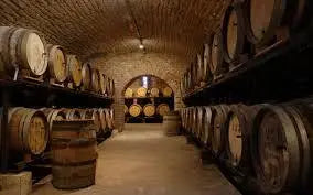 Berthet-Bondet Cotes du Jura Red Trio 2019 750ml - 67