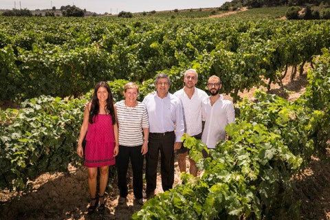 Bodegas Pinord Mas Blanc +7 Priorat DOQ Organic 2018 750ml - 67