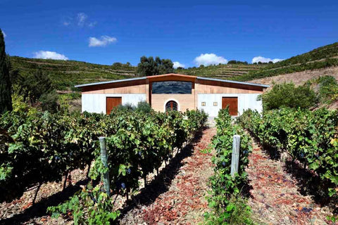 Bodegas Pinord Mas Blanc +7 Priorat DOQ Organic 2018 750ml - 67