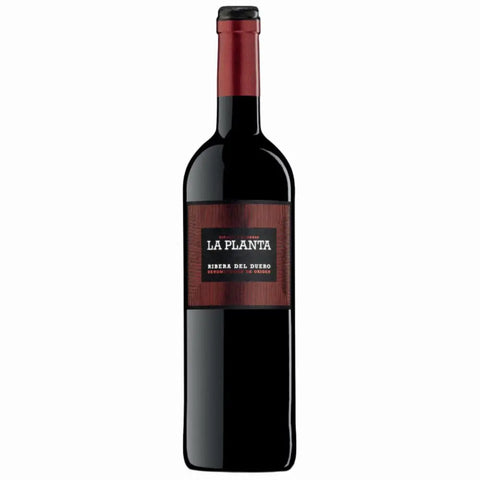 Bodegas Arzuaga La Planta Ribera del Duero 2023 750ml - 67