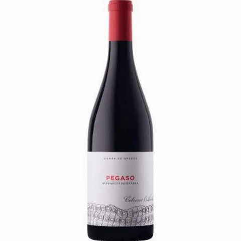 Vinas Viejas de Pegaso Cebreros Barrancos de Pizarra 2021 750ml - 67